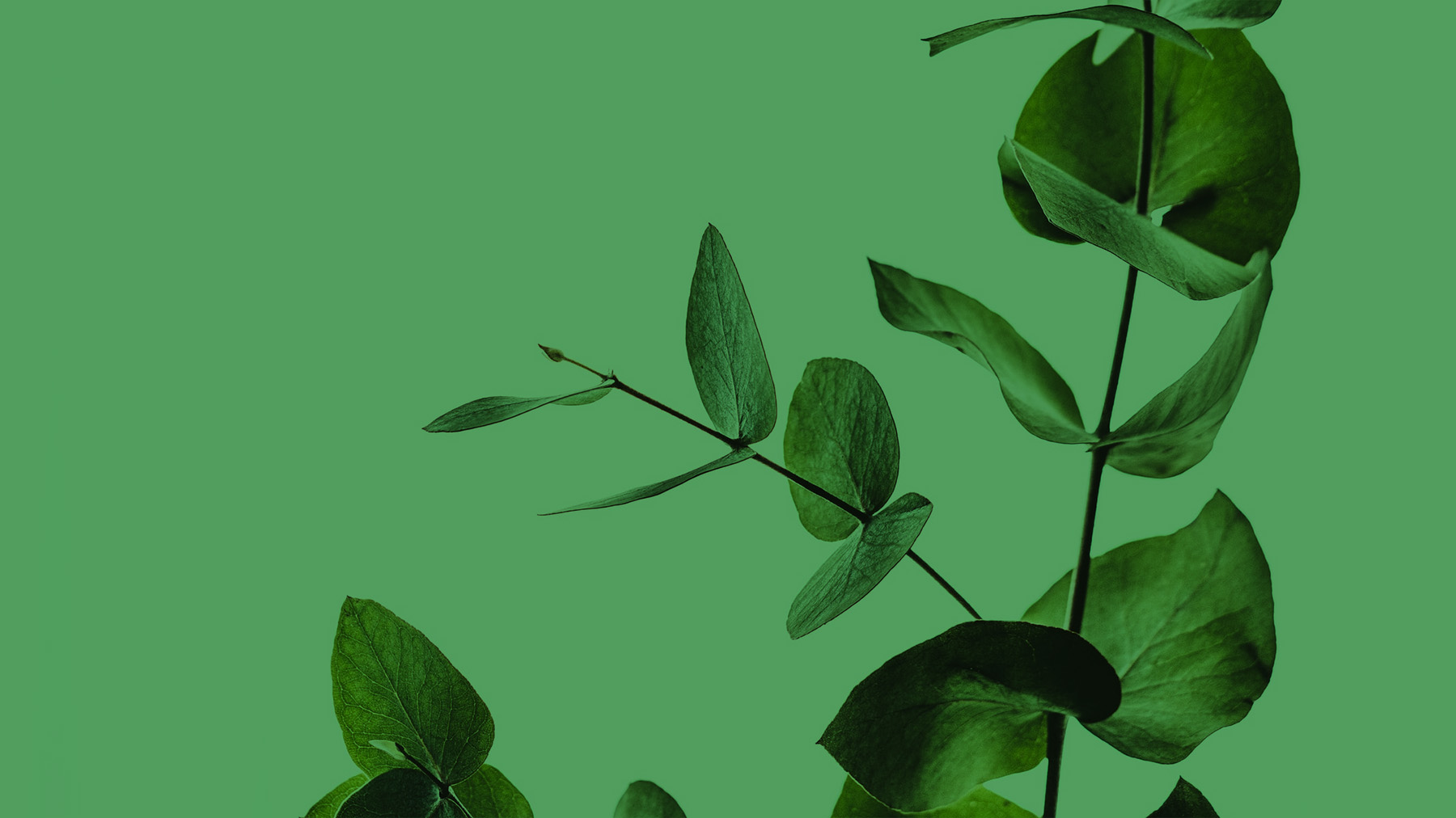 Minimalism is here to stay.